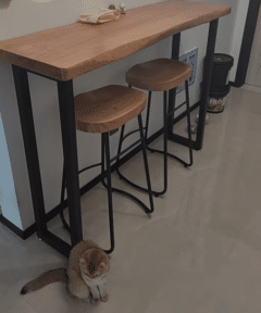 שולחן בר עץ מלא מתצוגה